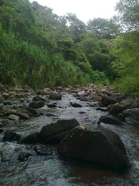 Expansive Scenic Property with Private Pool and Equestrian Facilities in Puriscal