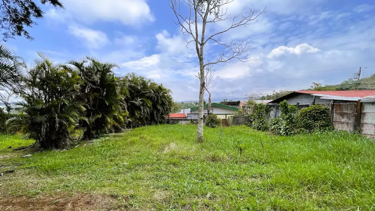 LOT FOR SALE IN SAN ISIDRO, SAN RAMON - 1