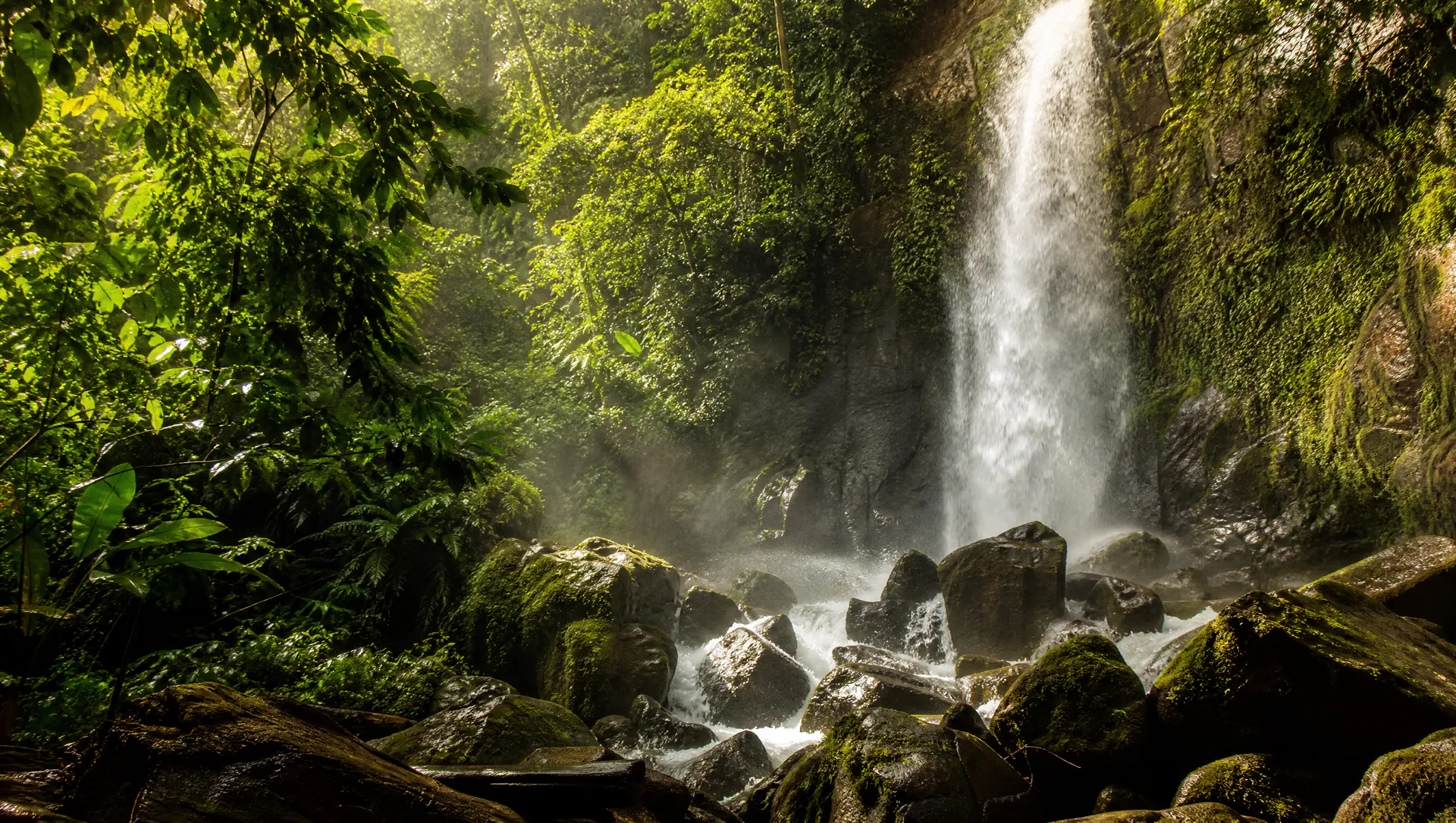 Costa Rica's Green Heart: 3 Unmissable Nature Experiences