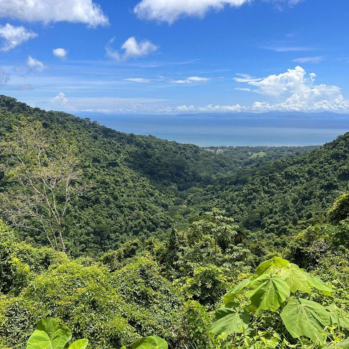 Exclusive Tarcoles Land: Panoramic Views and Stunning Sunsets - main