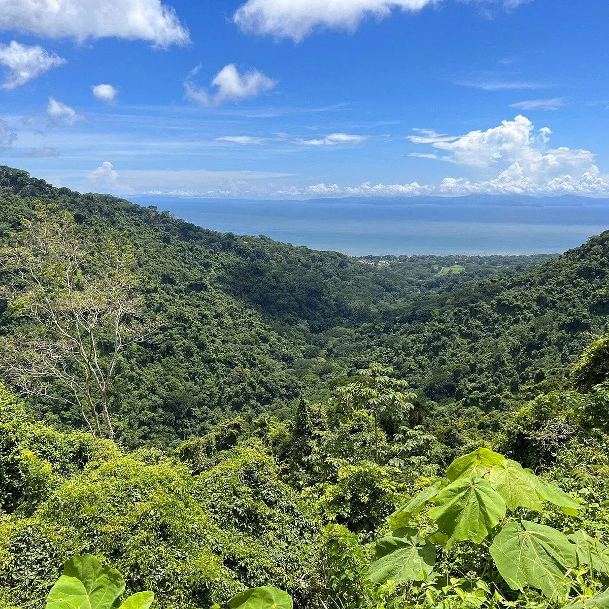 Exclusive Tarcoles Land: Panoramic Views and Stunning Sunsets - 1
