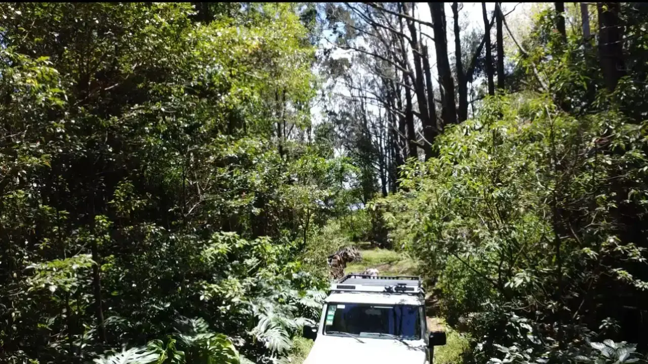 Private Nature Retreat in Heredia | 10,830 m² of Forest, Fresh Mountain Climate & Endless Potential - 5