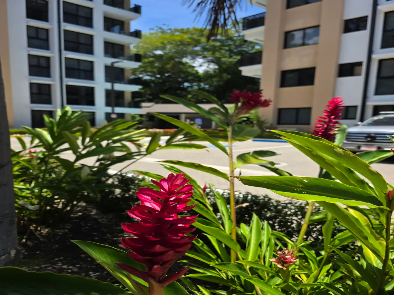 Torres del Mar 2301 : Appartement moderne de 2 chambres à Jaco, en prévente - 2