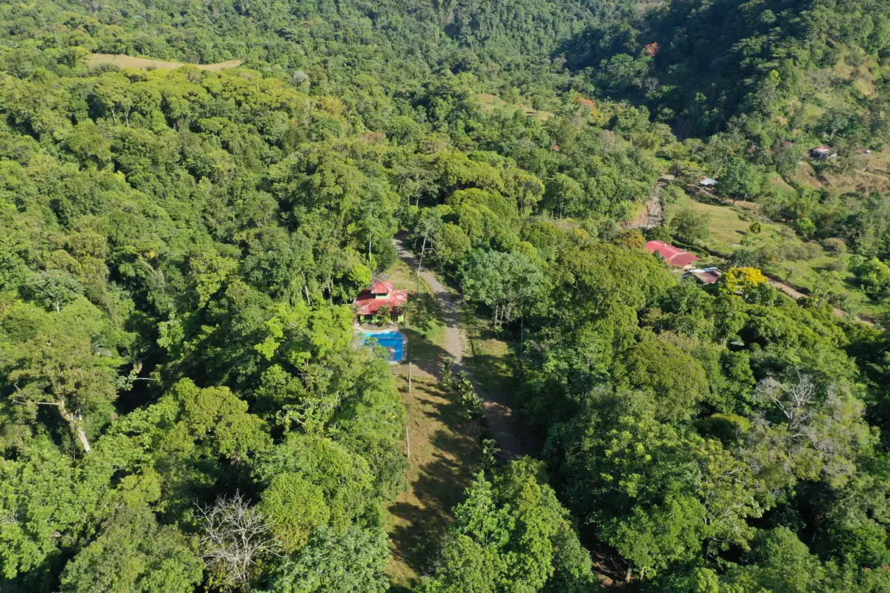 Costa Rica Rainforest Estate | 78.7 Ha Eco-Retreat & Adventure Property - 2