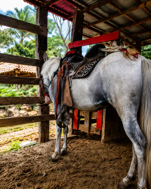 Expansive Scenic Property with Private Pool and Equestrian Facilities in Puriscal
