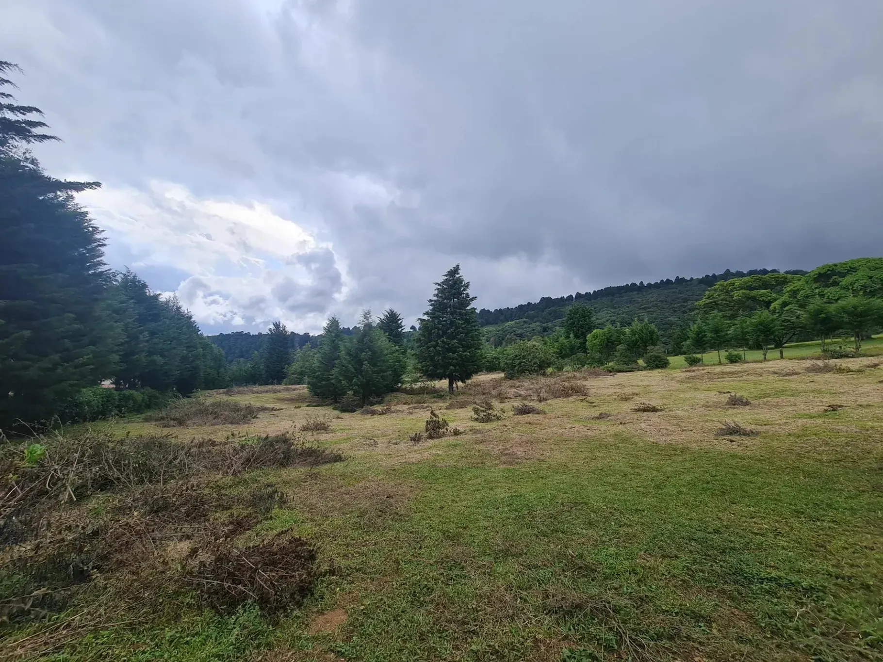 Finca en venta en San Isidro-Grecia, Alajuela - main