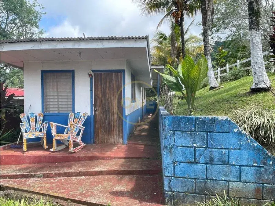 Venta Finca Puriscal - 4