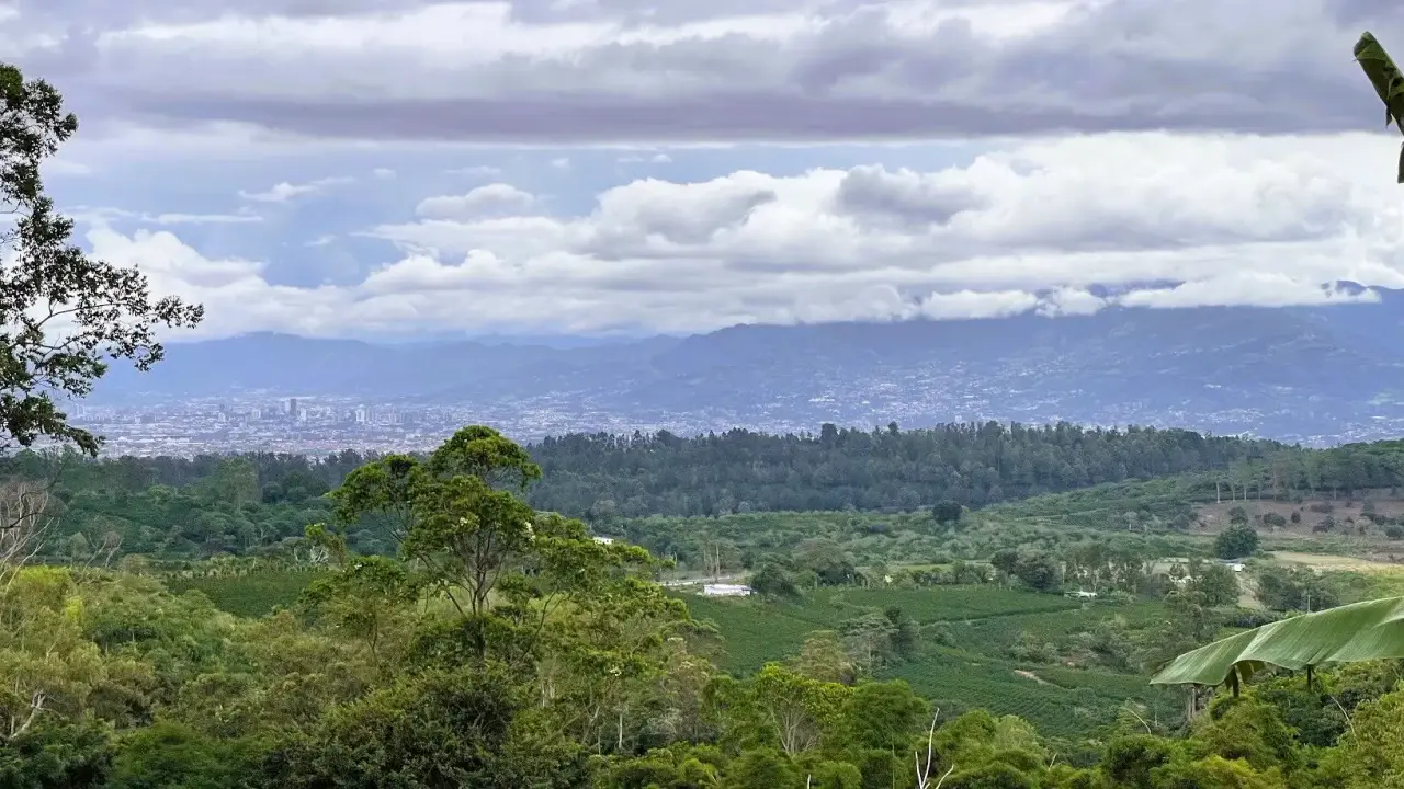 BEAUTIFUL HOUSE ON A SPACIOUS LAND IN CARRIZAL, ALAJUELA - 3