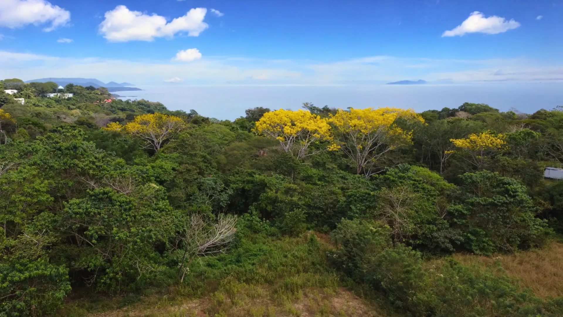 Hermoso terreno plano en Delicias de Montezuma - main