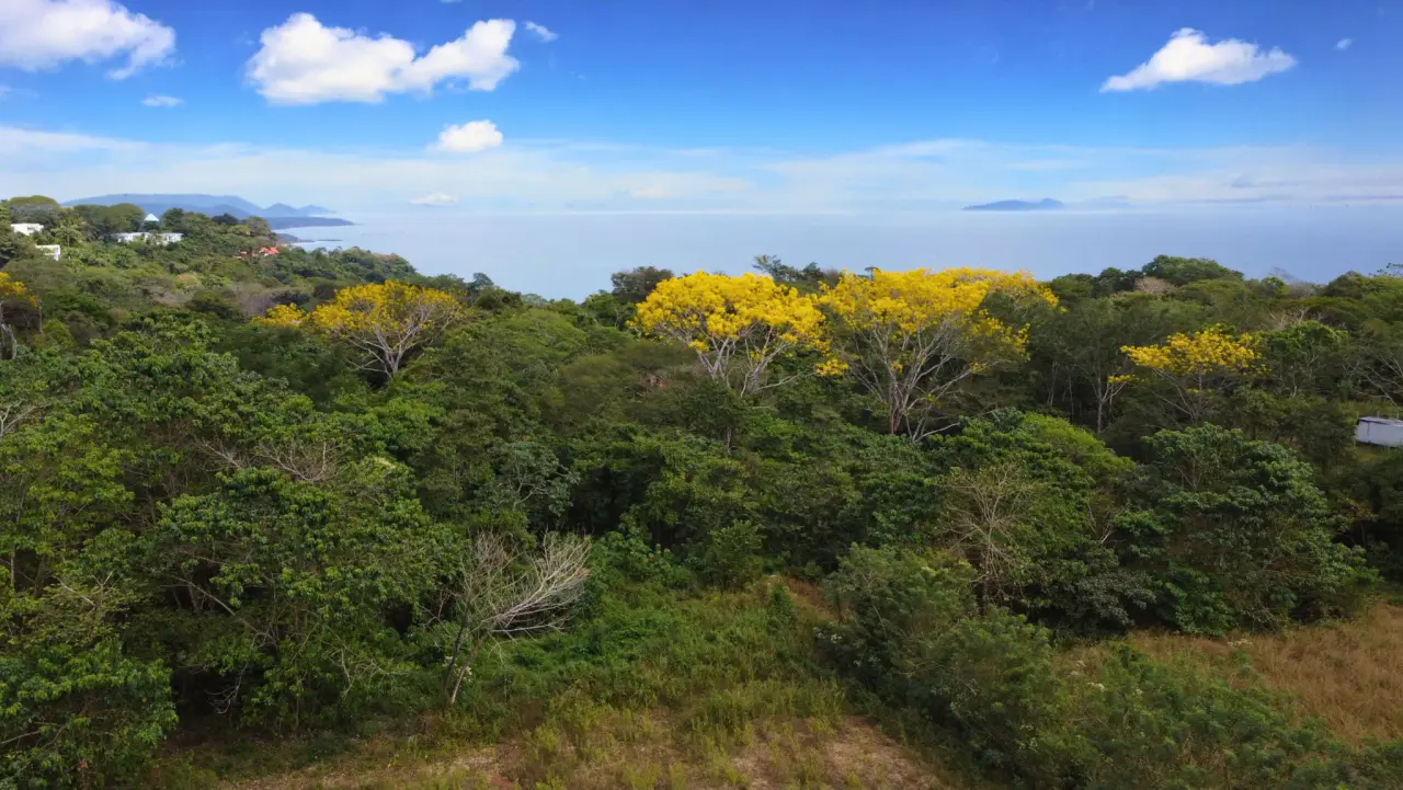 Hermoso terreno plano en Delicias de Montezuma - 1