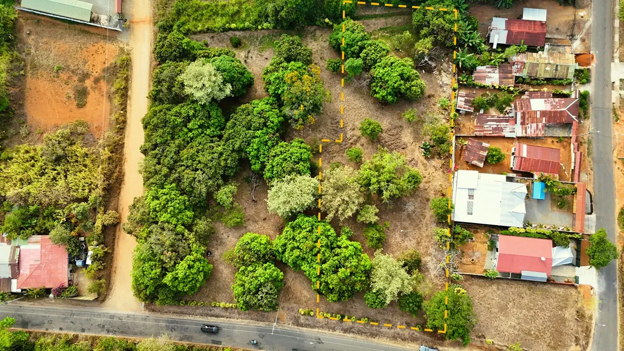 FRUIT TREE PROPERTY IN PEREZ ZELEDON, COSTA RICA - main