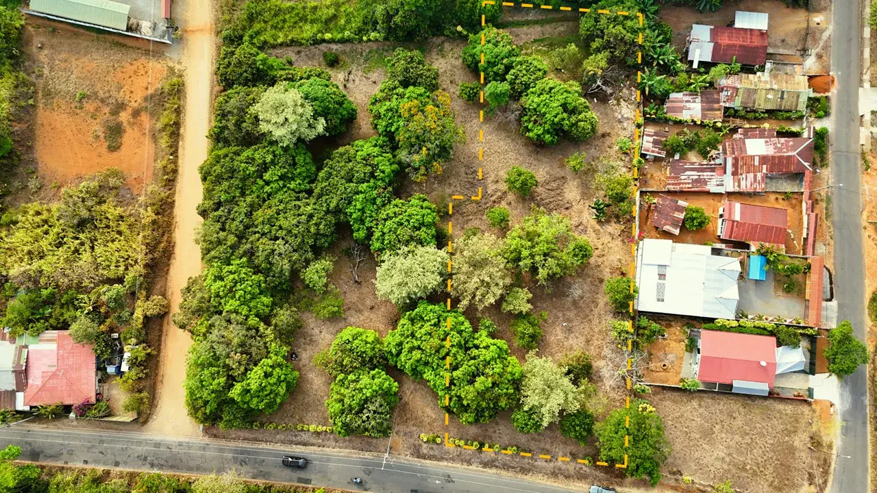 FRUIT TREE PROPERTY IN PEREZ ZELEDON, COSTA RICA - 1