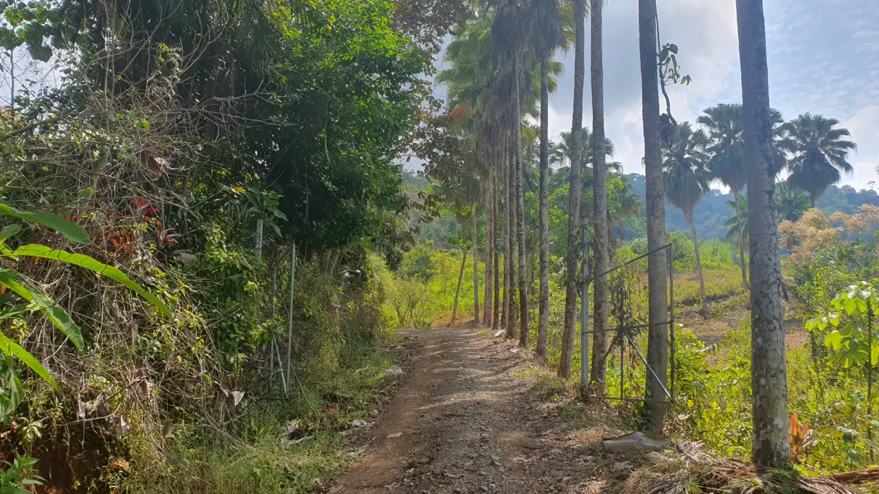 PEACEFUL AND PRIVATE LAND IN PUNTA MALA, OJOCHAL - 2