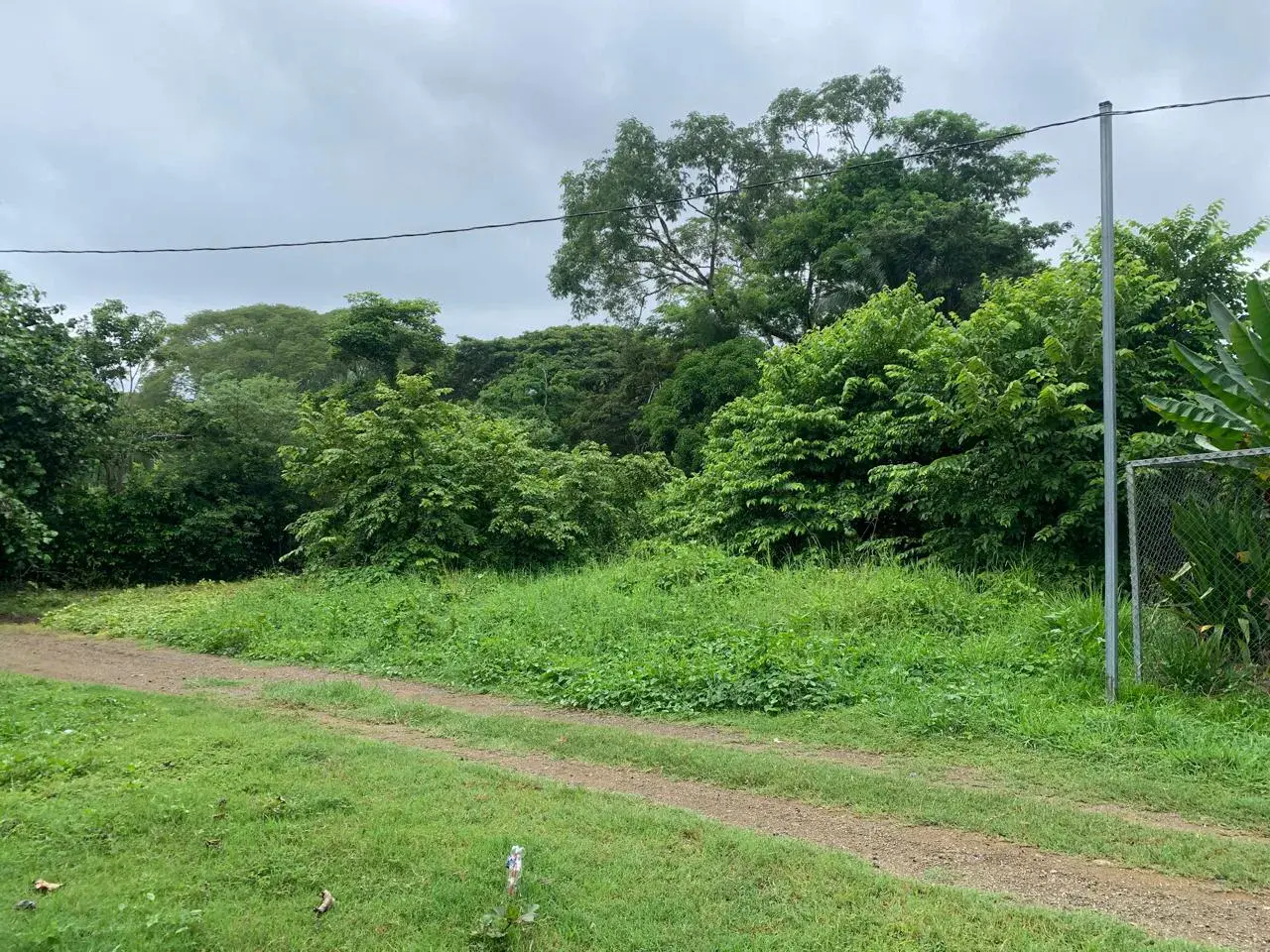 345 m² LOT FOR SALE IN MANZANILLO – NEAR SANTA TERESA & PLAYA HERMOSA and Minutes to the beach - 1