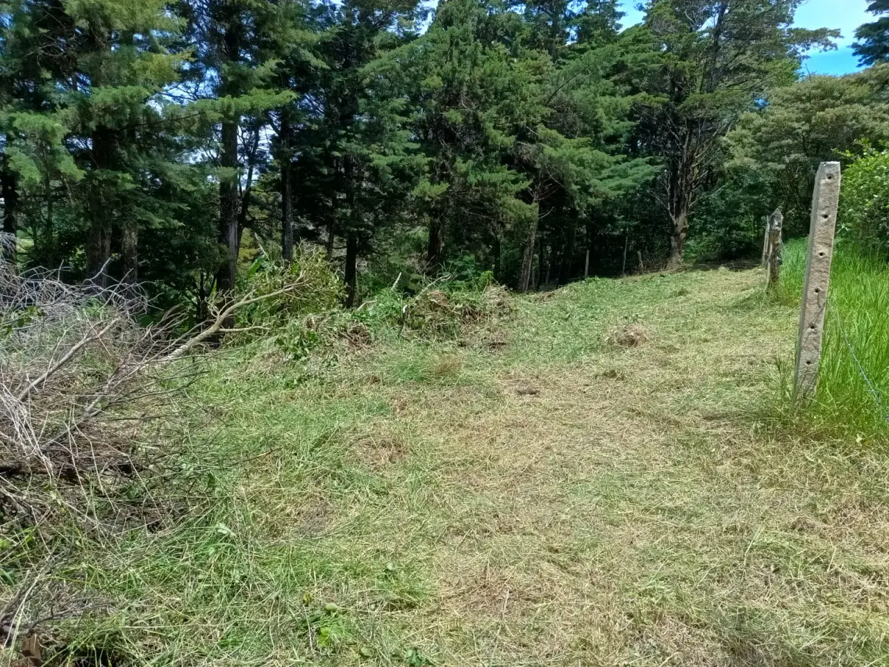 Prime Lot in Santa Elena, Monte Verde - Build Your Dream! - 5