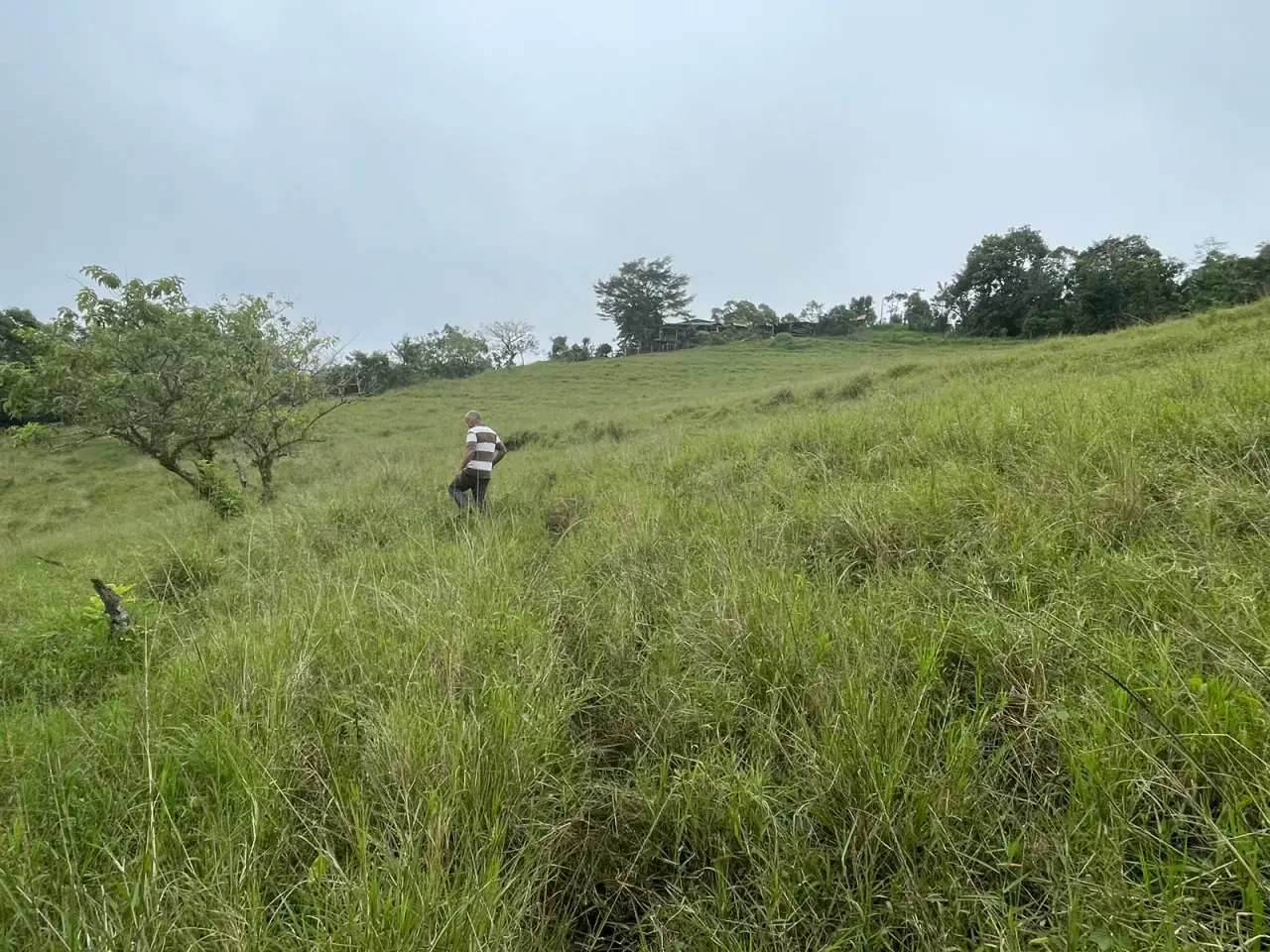 For Sale: Farm for development in Puriscal - 5