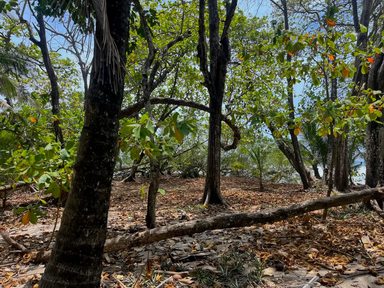 Beachfront Lot in Santa Teresa Ready to Build - Best surf spot in town - 3