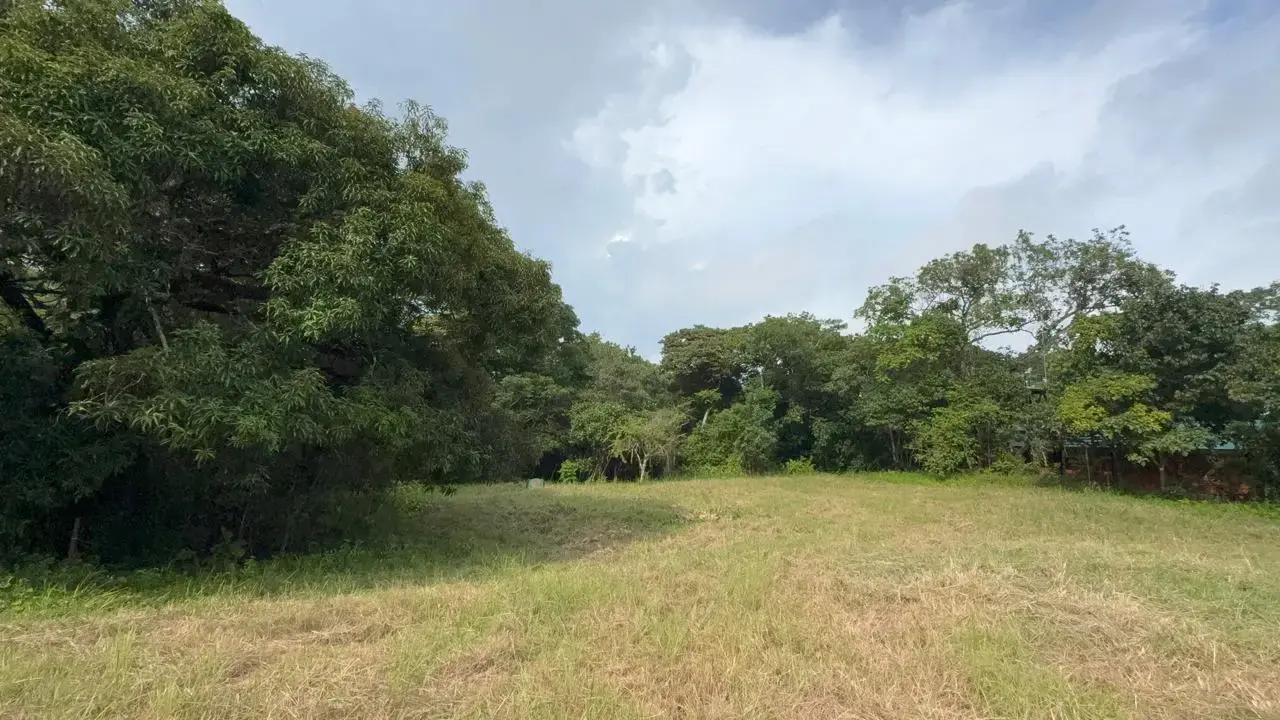6,179 m² mixed-use land in Delicias, minutes from Montezuma and Santa Teresa - 2