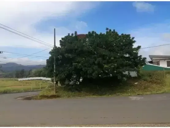 Venta lote Paraiso de Cartago - 1