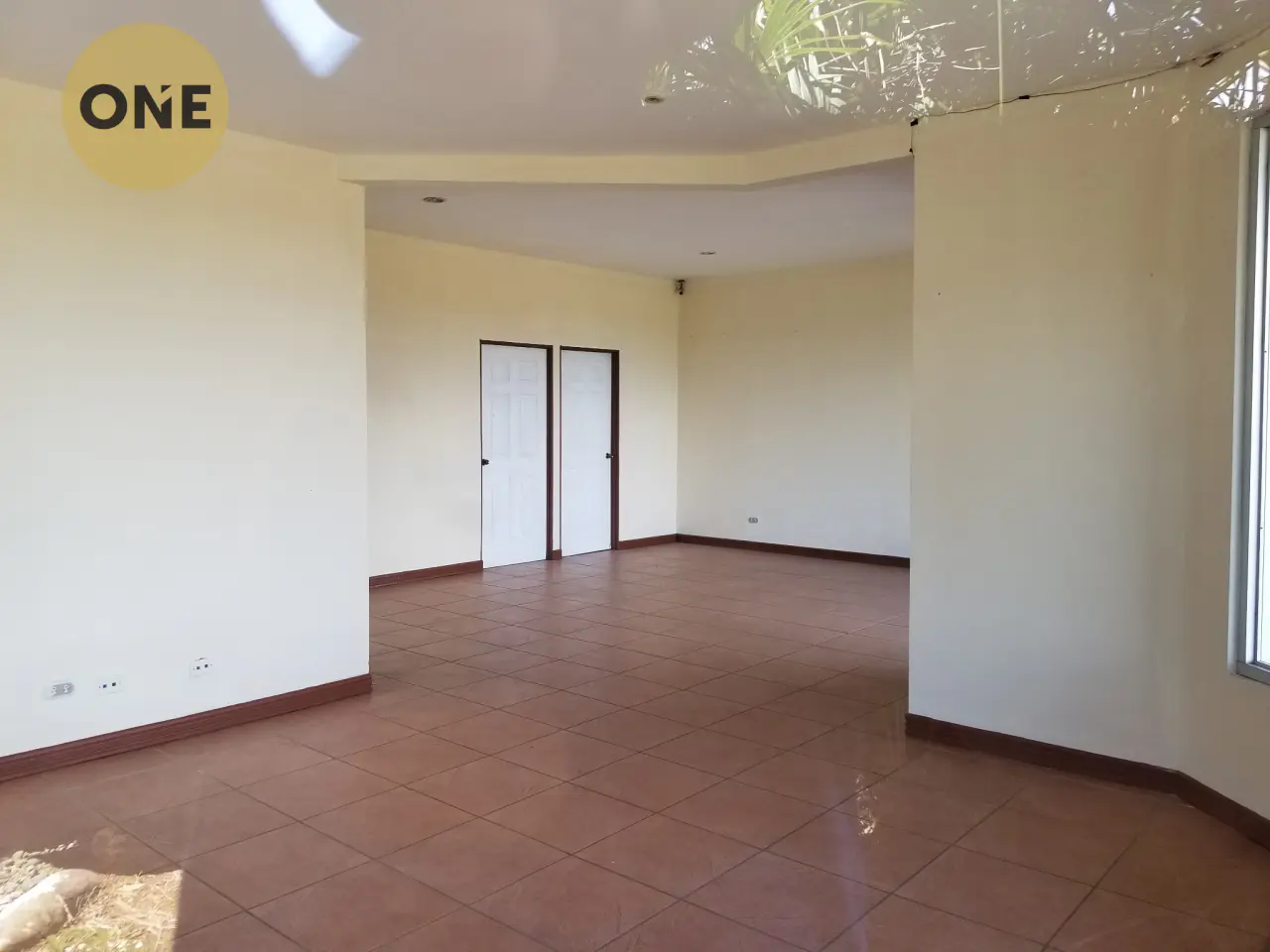 Solid investment in Limón: Consolidated commercial property in Siquirres - 4