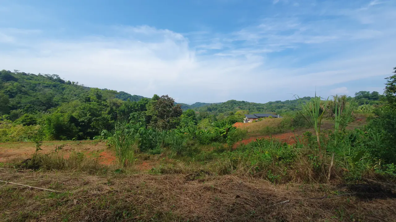 PEACEFUL AND PRIVATE LAND IN PUNTA MALA, OJOCHAL - 3