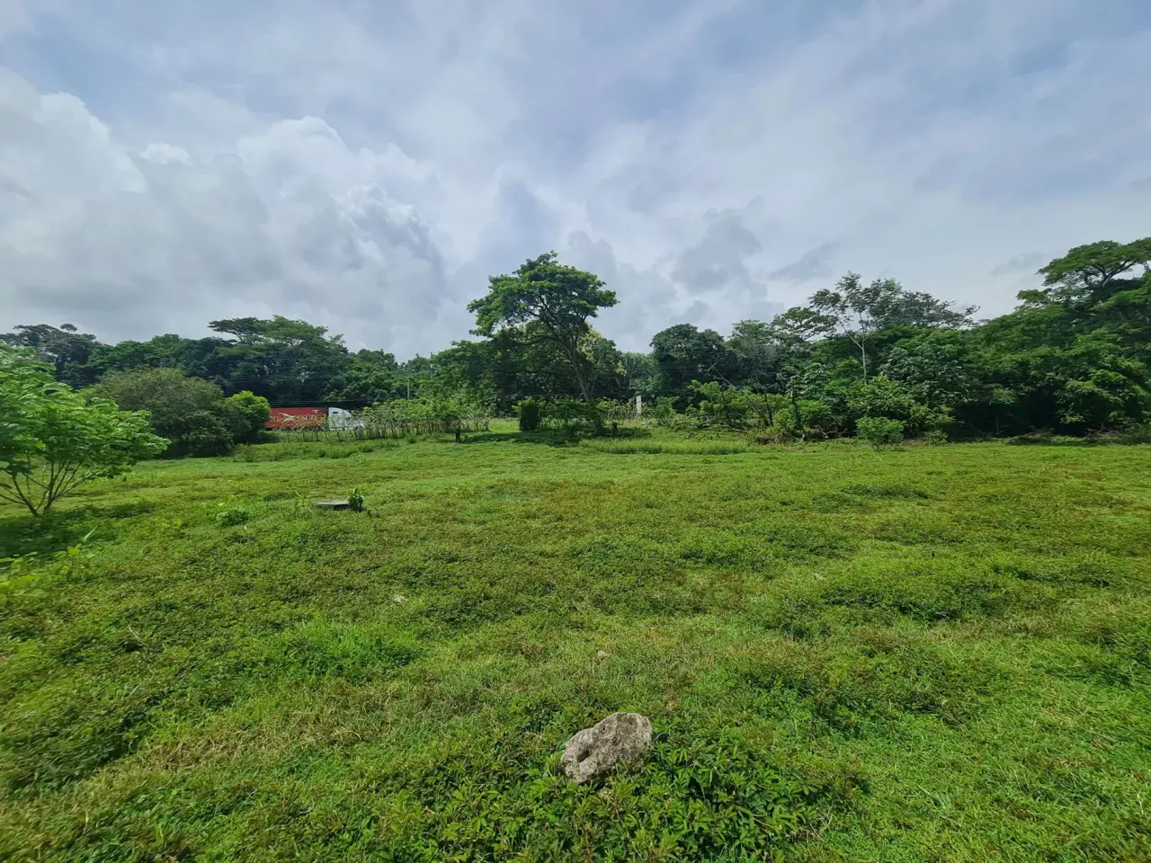 Farm for sale in Bejuco - 5