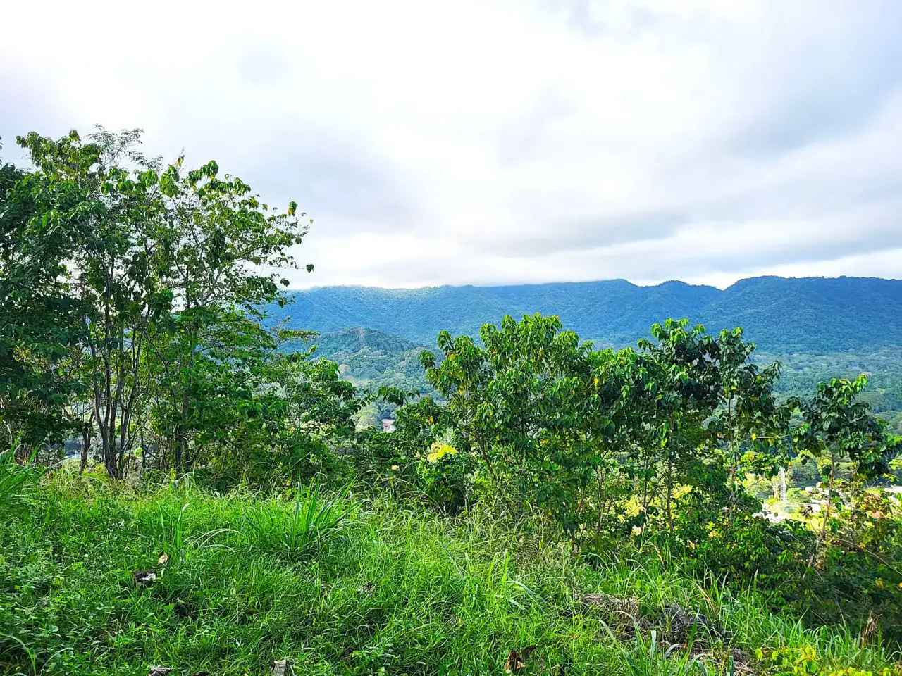 Lote con vista al mar en la cima de la montaña en una comunidad privada y cerrada con vista a Tambor - 5
