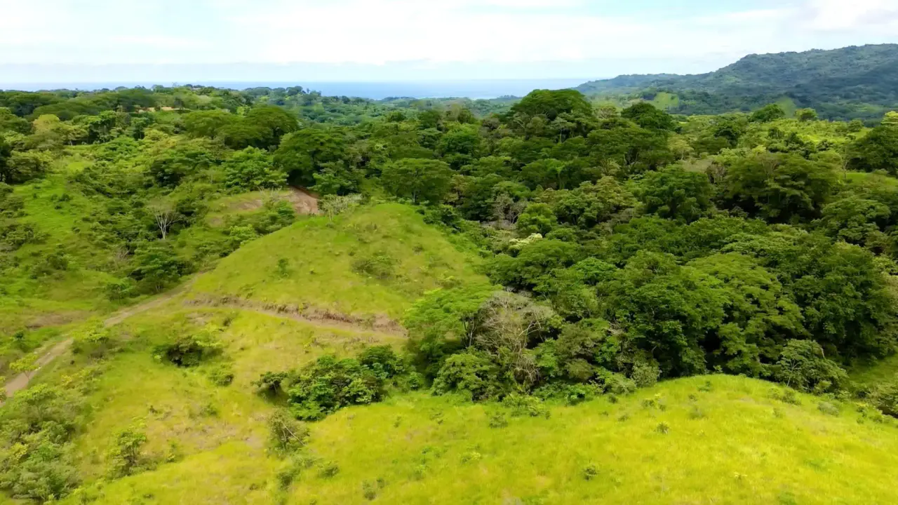 Modern Green Living in a Gated Community in Santa Teresa, Costa Rica - Lots start at $110K - 3