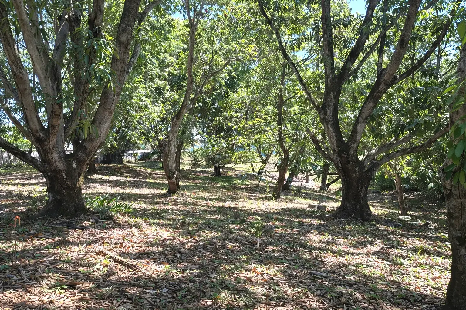 Sale / Very Nice Lot, Coyolar, Orotina, Alajuela - main