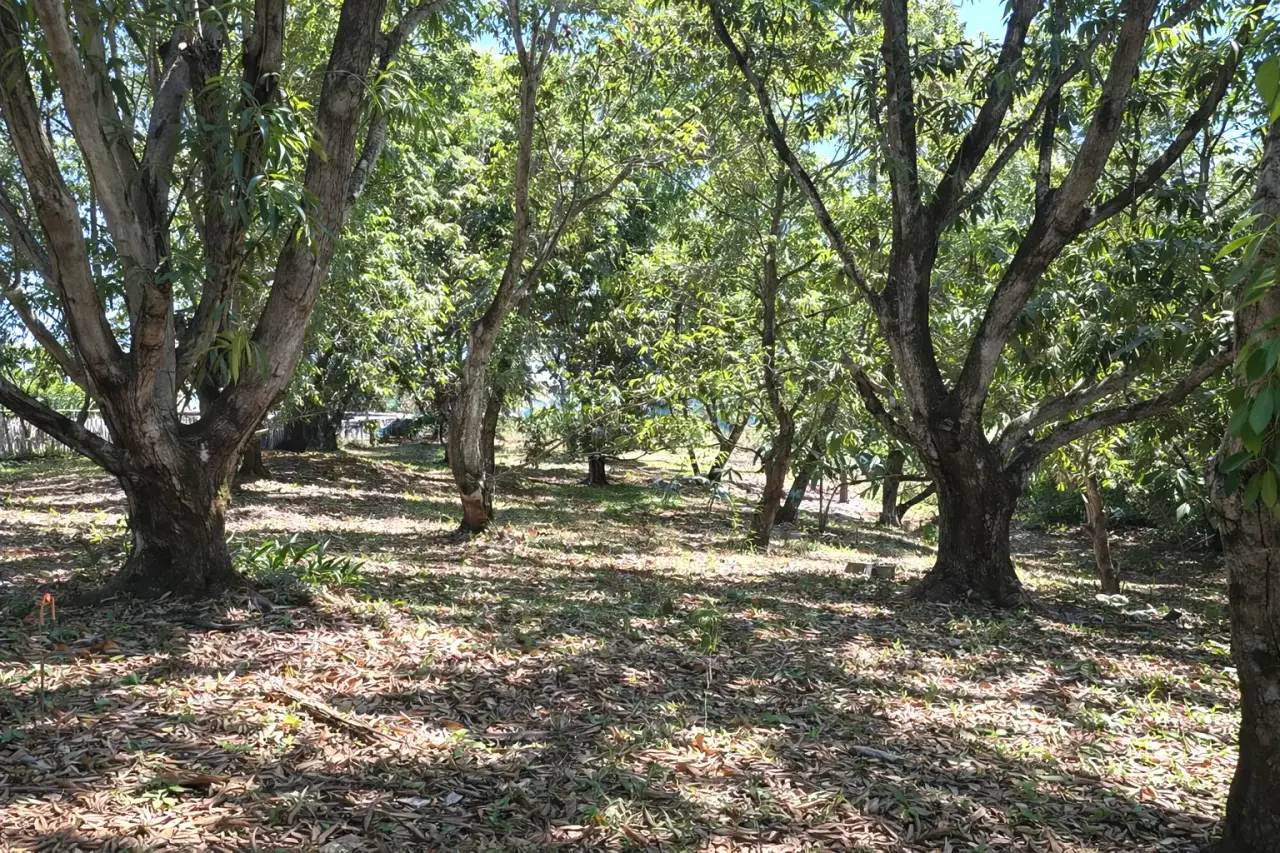 Sale / Very Nice Lot, Coyolar, Orotina, Alajuela - 1