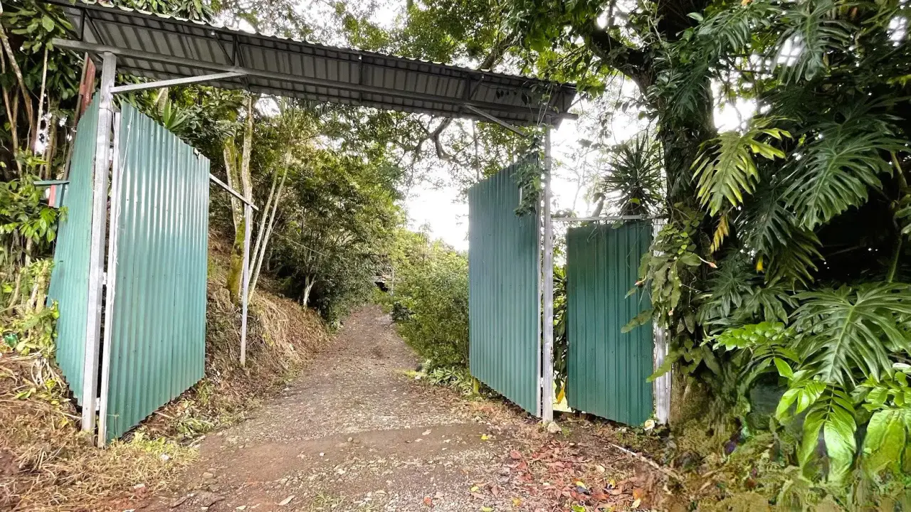 COMMERCIAL LOT FOR SALE IN SAN MIGUEL, NARANJO - 5