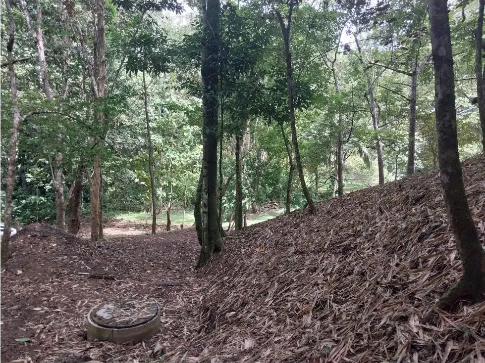 Property With Water Well And Solar Panel's System In Quebrada Seca (Jaco) - 5