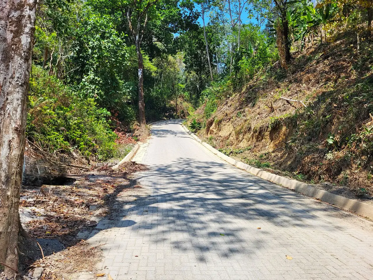 Lote de ensueño tropical de primera calidad en venta - 2