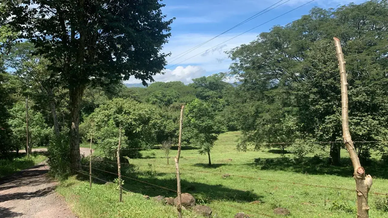 Expansive 2.77 Hectare Quinta in Scenic Turrúcares, Alajuela, Costa Rica - 4