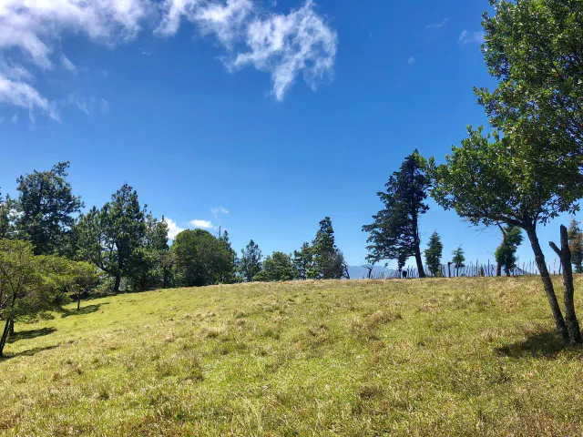 SALE / Impressive Land (With Commercial Use Permit) San Isidro, Heredia