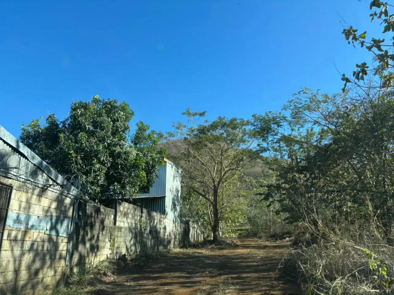 Expansive 7.3 Hectare Farm Land in Nicoya, Guanacaste – Prime Costa Rica Opportunity - 2
