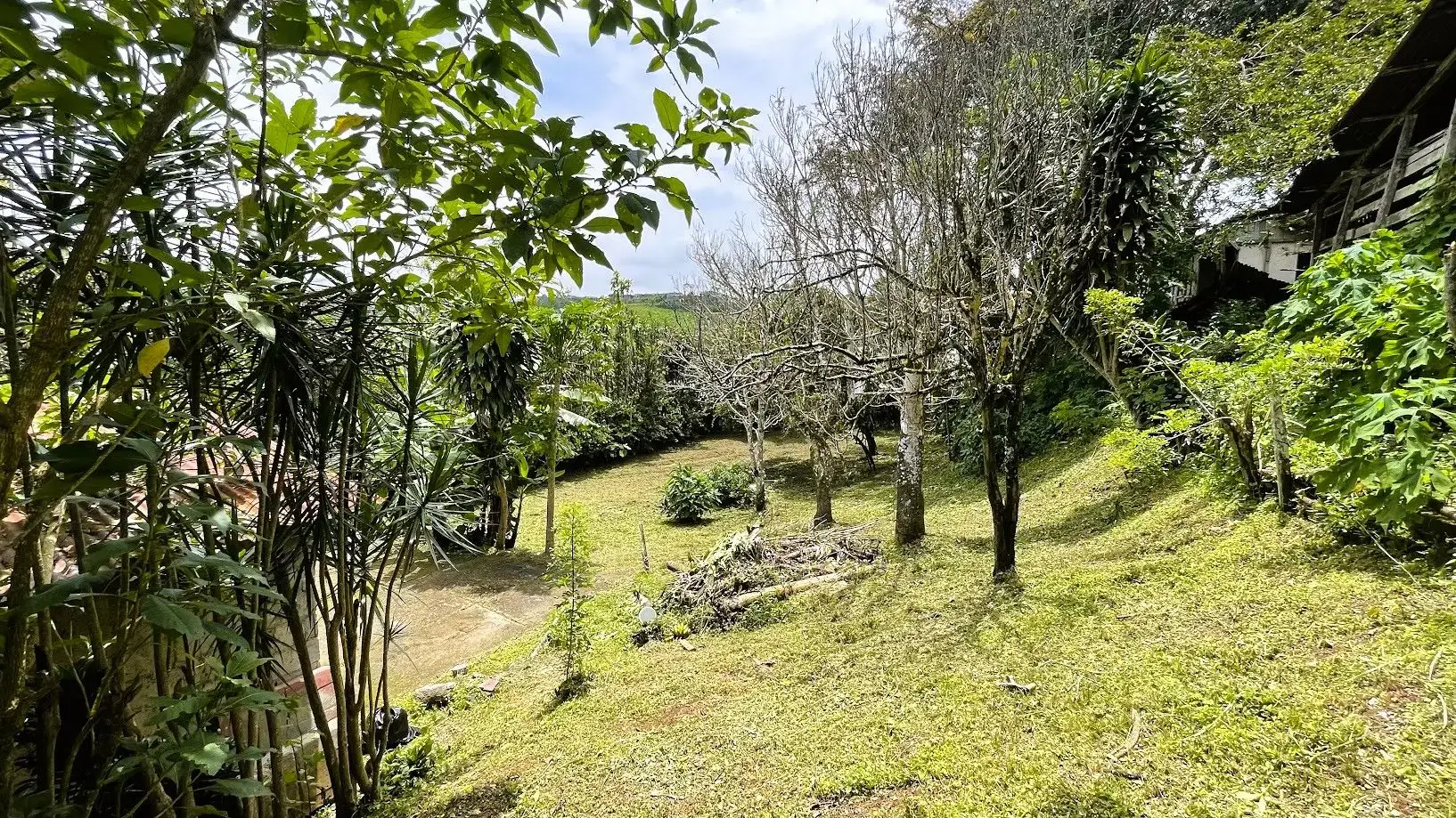 TERRAIN AVEC MAISON À VENDRE À SAN ISIDRO, SAN RAMÓN - main
