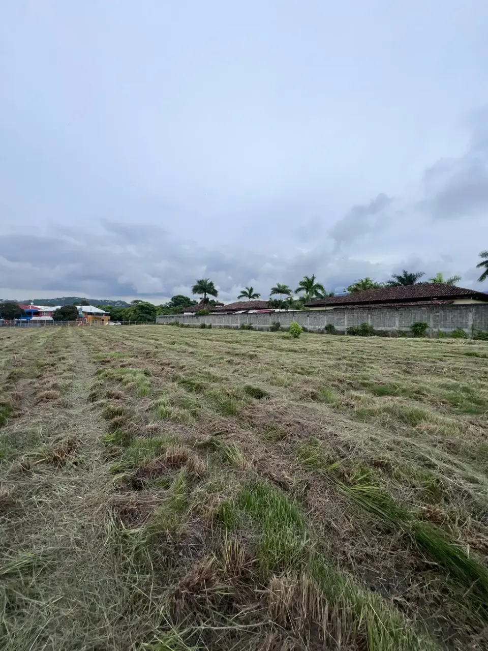 For Sale - Land in Lindora, Santa Ana - 2