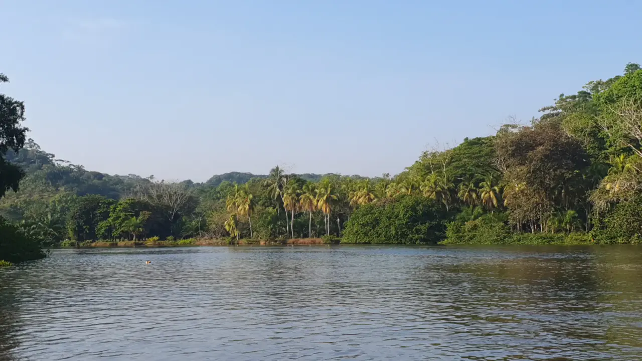 CONSERVATION AND DEVELOPMENT LAND WITH OCEAN VIEW IN SIERPE, COSTA RICA - 5