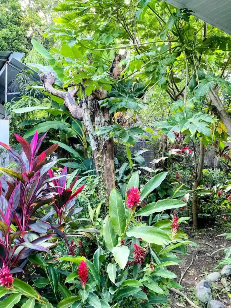 Natural paradise at just 5 minutes from Jaco - 3