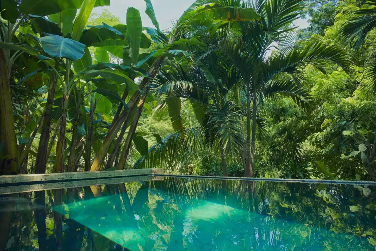 3 Independent Units, Pool & Tropical Gardens steps to the Beach in Mal País and minutes to Santa Teresa - 2
