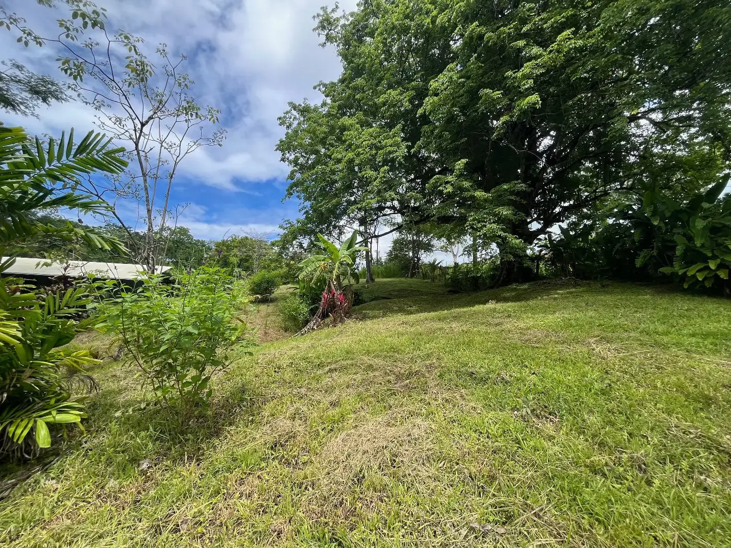 Dream Property in Delicias 7,100m² of Lush Land with Creek & Fruit Trees – Minutes from Santa Teresa - main