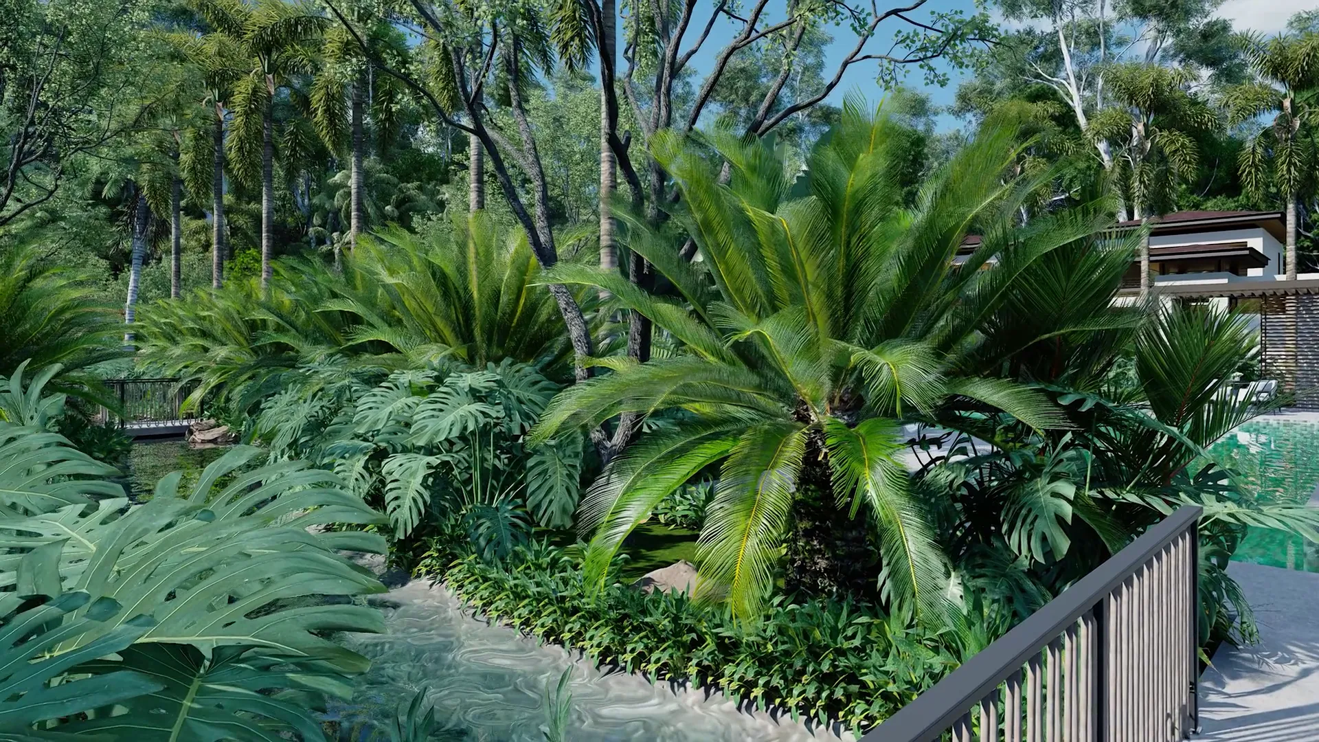 The Oasis