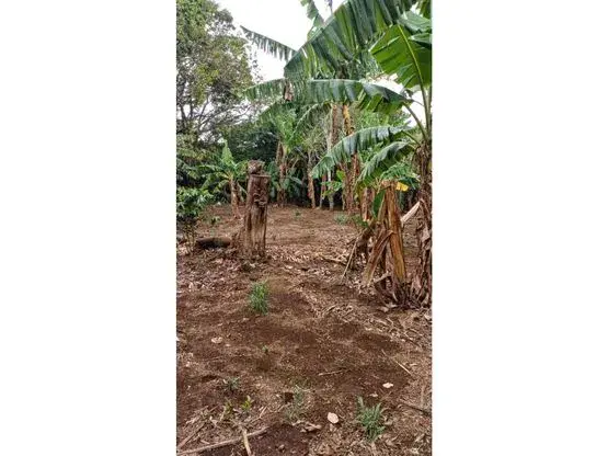 Lot for Sale in Santa Bárbara de Heredia - 3