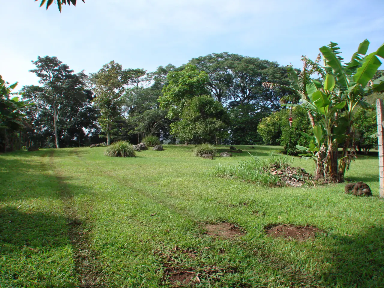 Home construction site property in Cuidad Colón - Lot for sale - 5