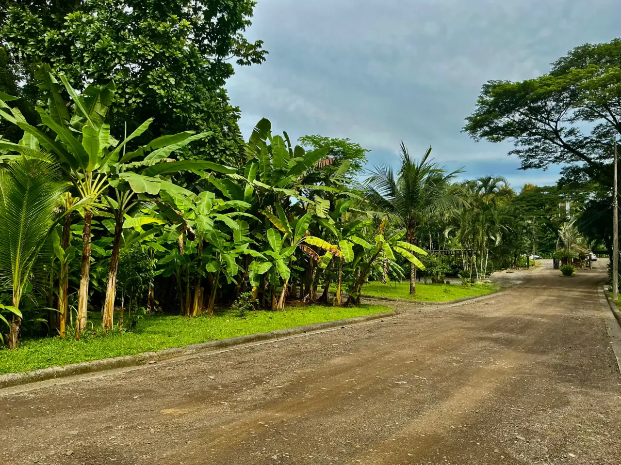 Lot for Sale in Plantation Acres - 3