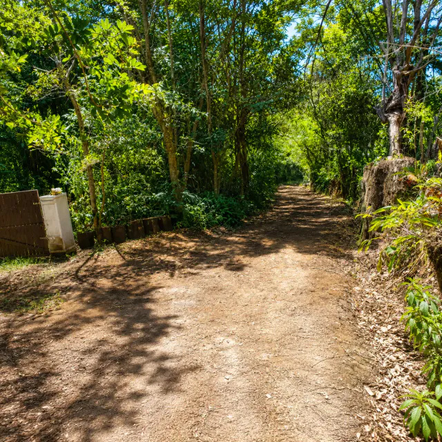 Retiro Privado en la Naturaleza en Heredia | 10,830 m² de Bosque, Clima Fresco de Montaña y Potencial Infinito