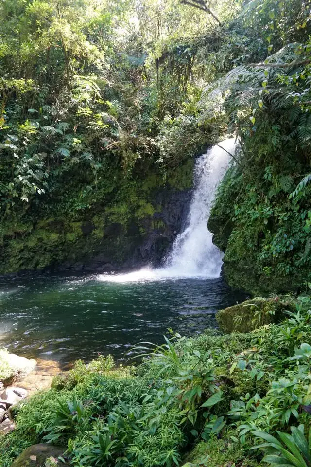 Finca Privada con Cascada en Guapiles, Costa Rica - Santuario Natural - 4