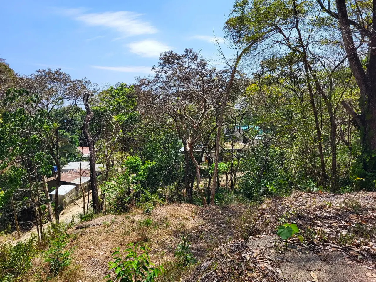 Prime Tropical Dream Lot For Sale - 1