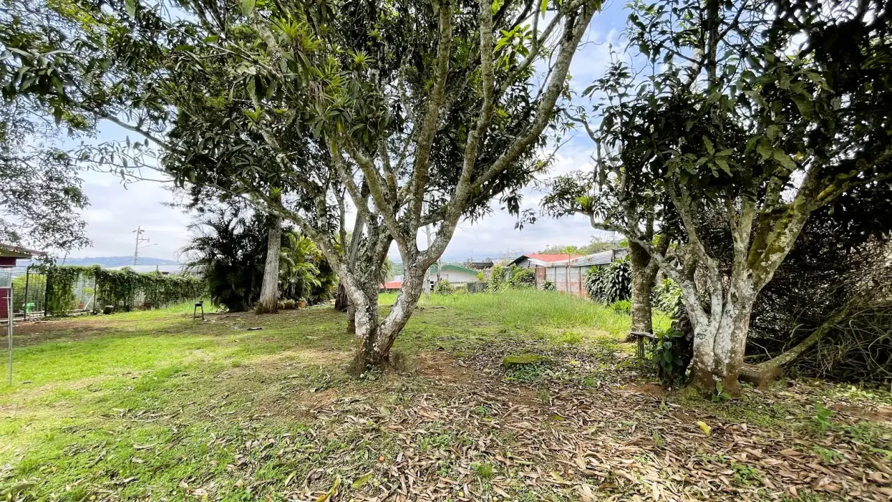 LAND FOR SALE IN SAN ISIDRO, SAN RAMÓN - 2